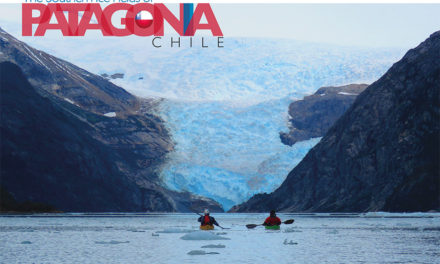 The Southern Ice Fields of Patagonia
