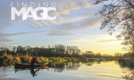 Finding magic closer to home