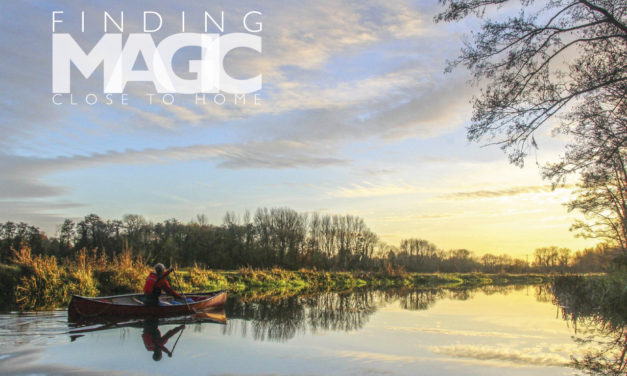 Finding magic closer to home