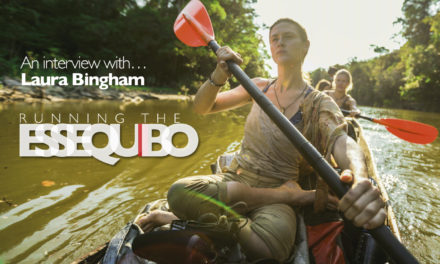 An interview with… Laura Bingham