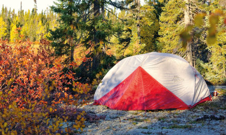 MSR Elixr 3 Tent