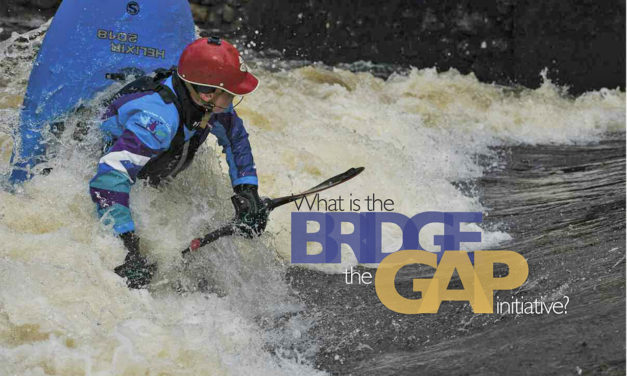 What is the Bridge the Gap initiative?