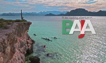 A sea kayaking adventure in Baja