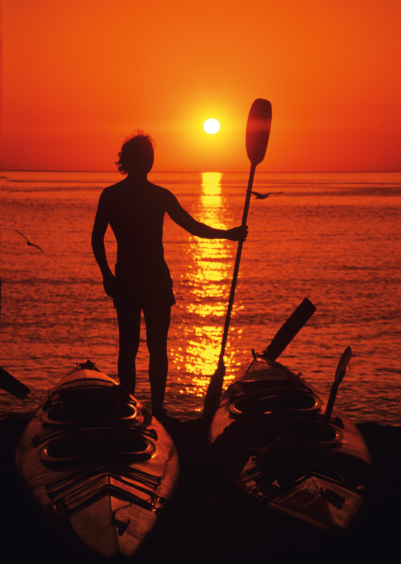 Kayaker Baja Sunrise