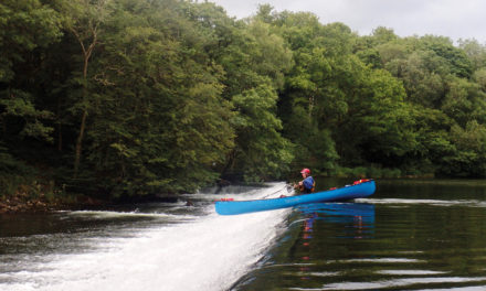 The power of positive thinking: making magic happen