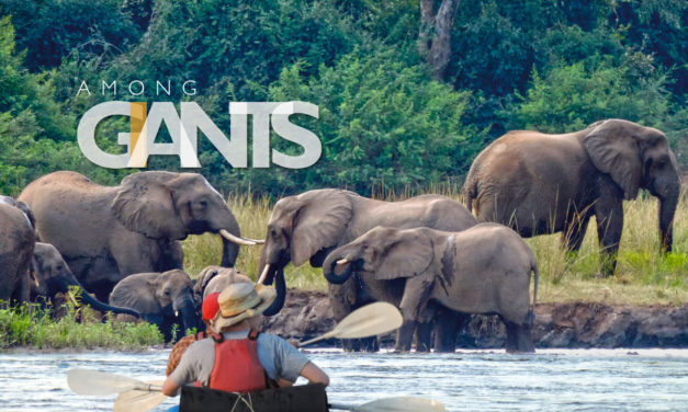 Among giants