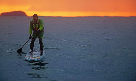 The Wylie Diaries – part two