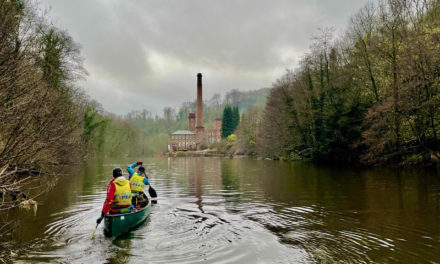 Black Bag Friday Continues…