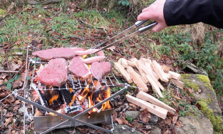 Wolf and Grizzly Grill and Fire Safe