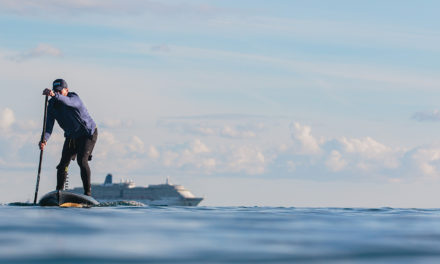 Princely (adjective) – ‘very grand’