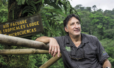 A tribute to Rafael Gallo