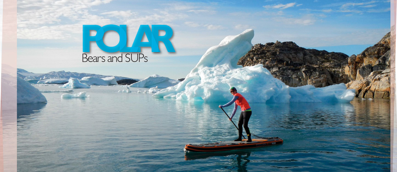 Polar bears and SUP
