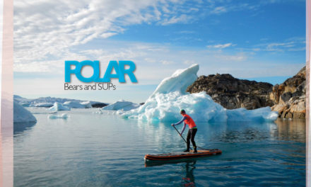 Polar Bears and SUP