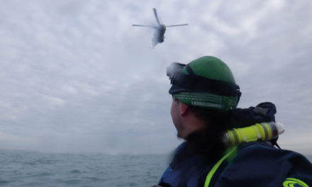 Dimitri’s rescue training series (part 3)