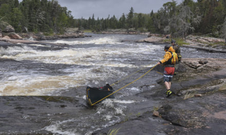 Ray Goodwin’s – it’s all in the timing