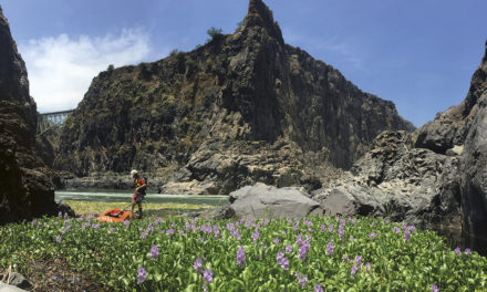 EJ’s favourite rivers of the world