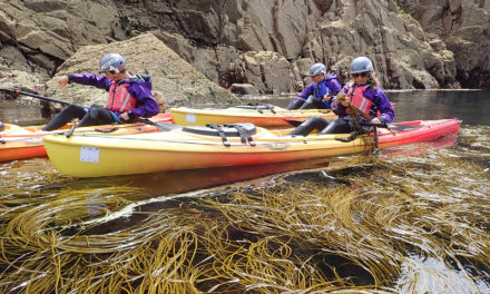 Jersey Kayak Adventures offsets its carbon footprint