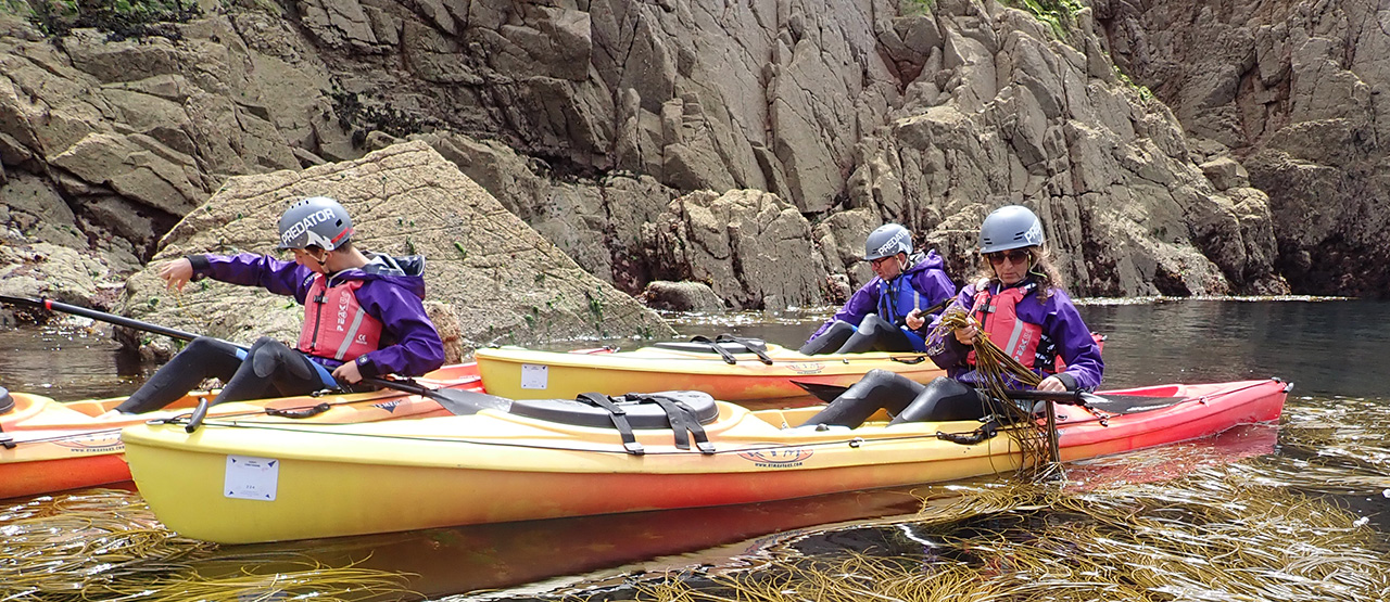 Jersey Kayak Adventures
