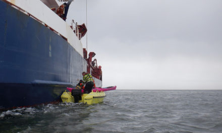 Dimitri’s rescue training series (part 4)