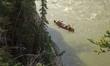 Paddle fit – our guide to getting fit for paddlesports