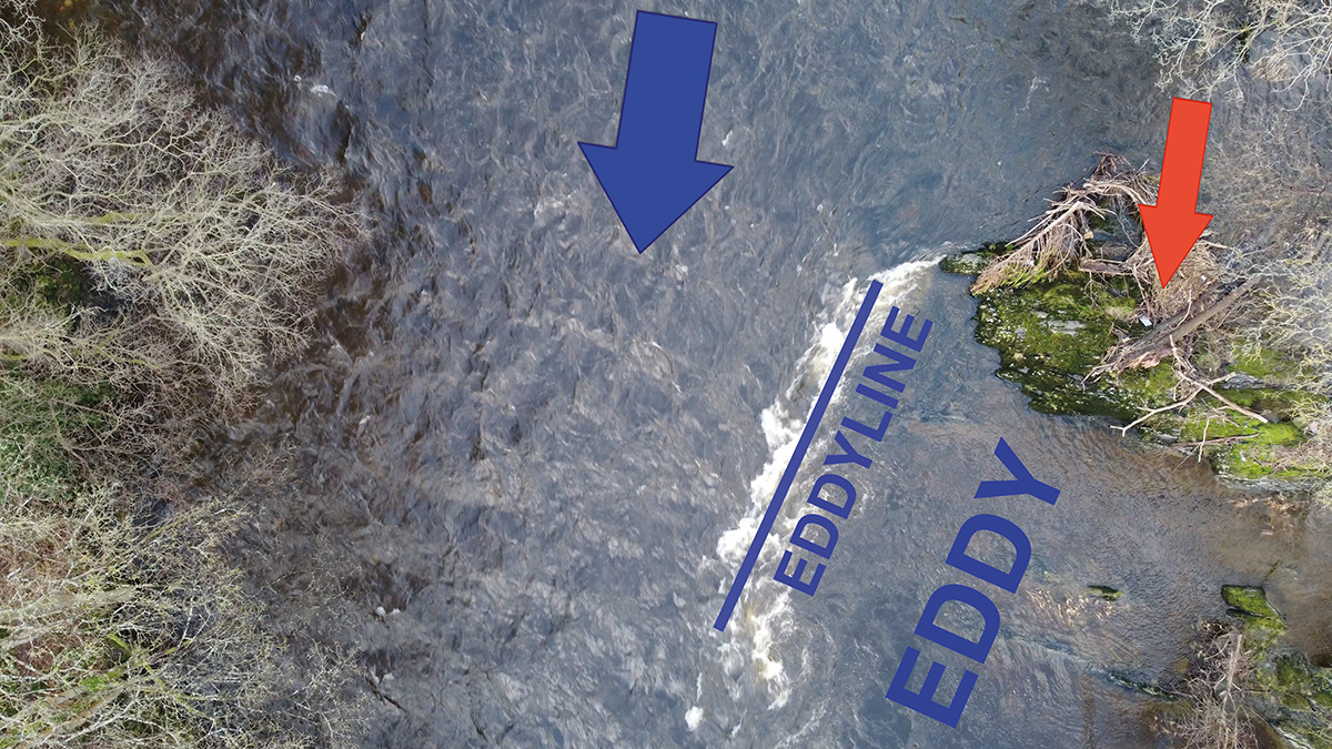 Ray Goodwin's eddyline