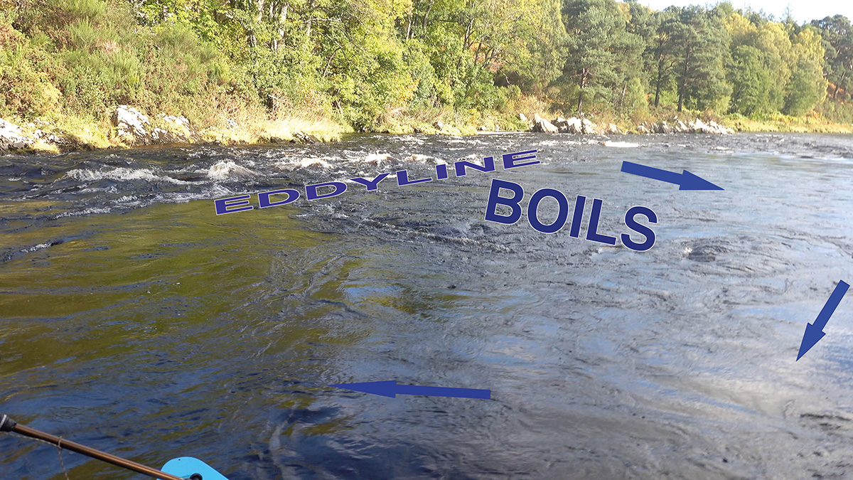 Ray Goodwin's eddyline