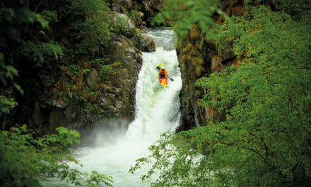 A chat with… Chris Brain