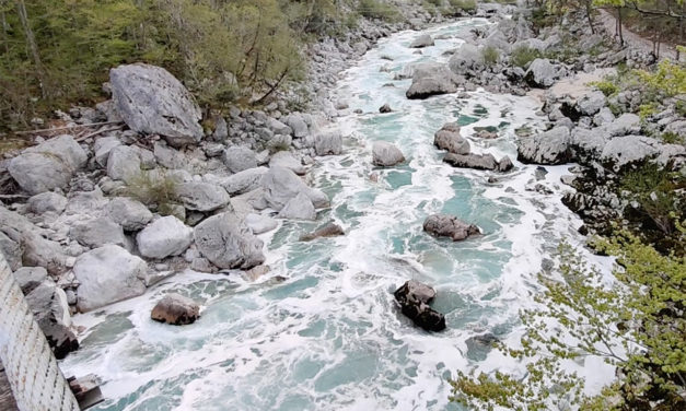 Chemical spill on Slovenia’s Soča River
