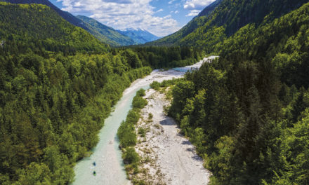 A chat with… Carmen Kuntz & Rok Rozman