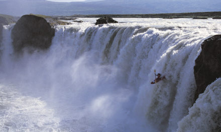 A love letter for the cult