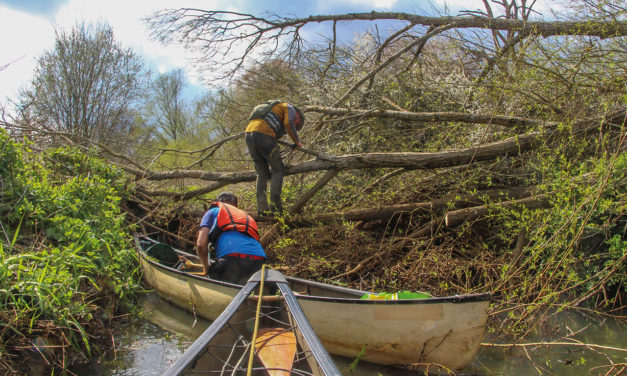 Adventures in a ditch –  a tribute to the smaller rivers  of England