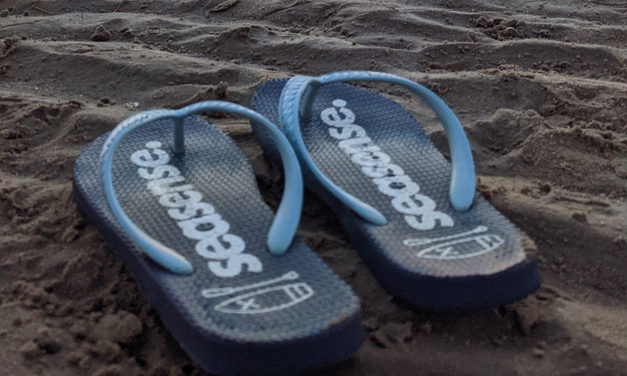 Sea Sense flip flops