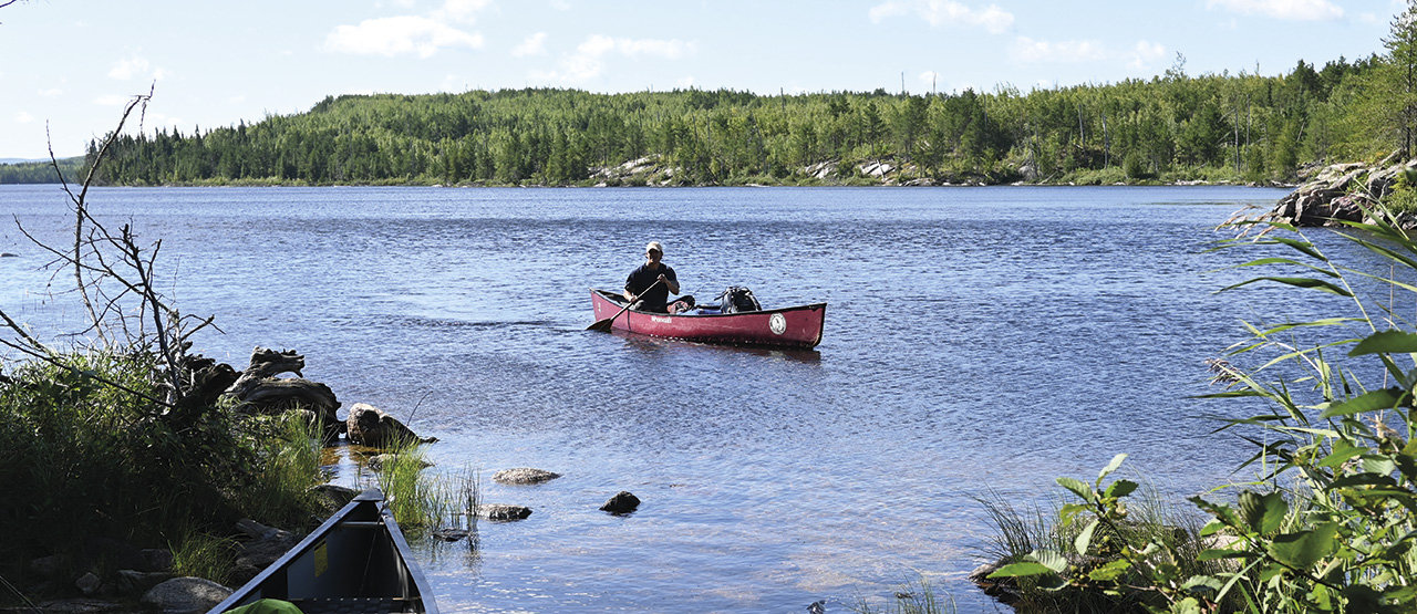 the Minnesota Northwoods