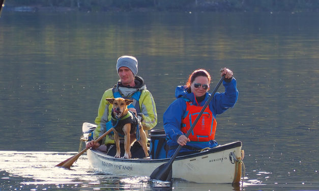 Canoeing a challenging and full-on Tay River