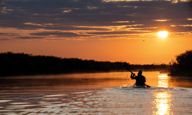 A chat with… Jack Fleckney