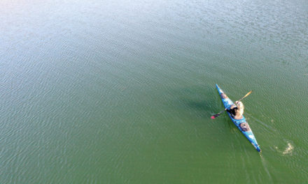 A chat with… Casle Portner