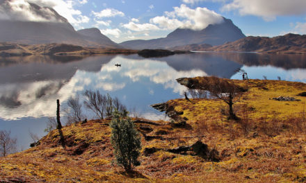 A chat with… Mal Grey