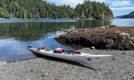 Paddling with whales
