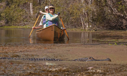 Paddling to the sound of silence – quiet-water paddling
