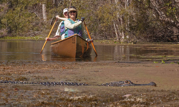 Paddling to the sound of silence – quiet-water paddling