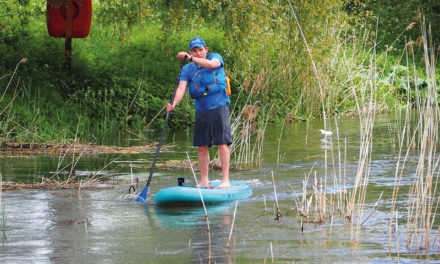 Foreword – our rich adventure