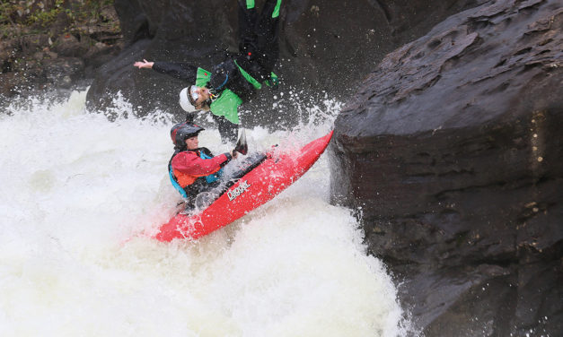 A chat with… Adriene Levknecht