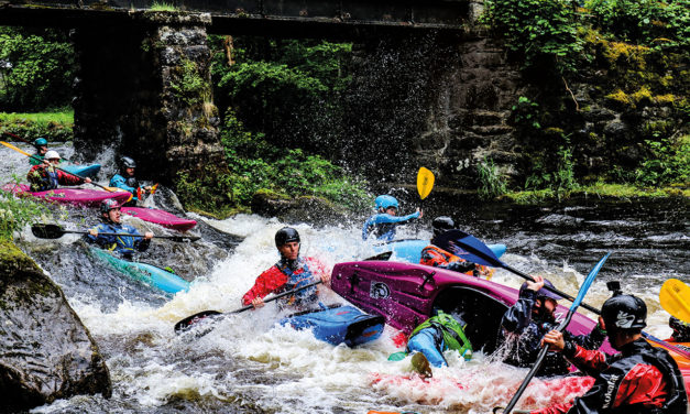 T-fest – AKA The Tryweryn Festival 2023