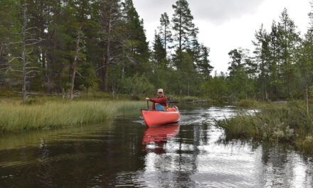 Canoeing on the wild side