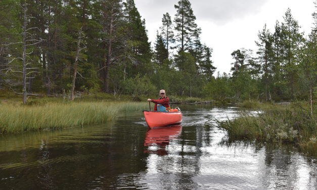 Canoeing on the wild side