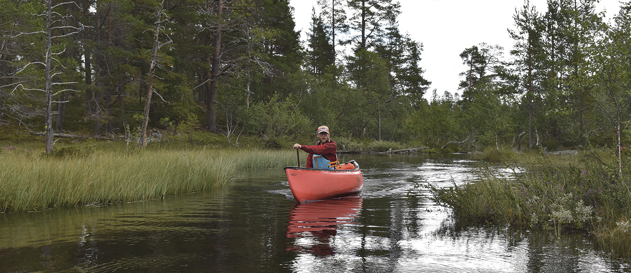 Rogen Nature Reserve