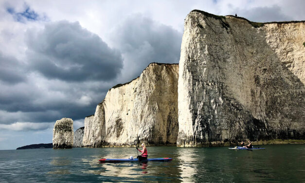 Paddling with Jurassic sea monsters