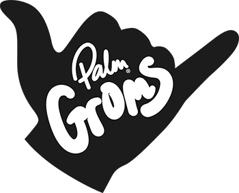 The Palm Groms Mentorship Programme