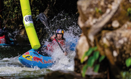 A chat with… Nouria Newman