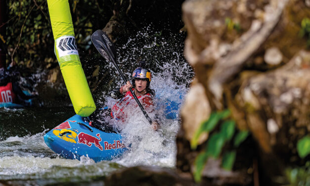 A chat with… Nouria Newman